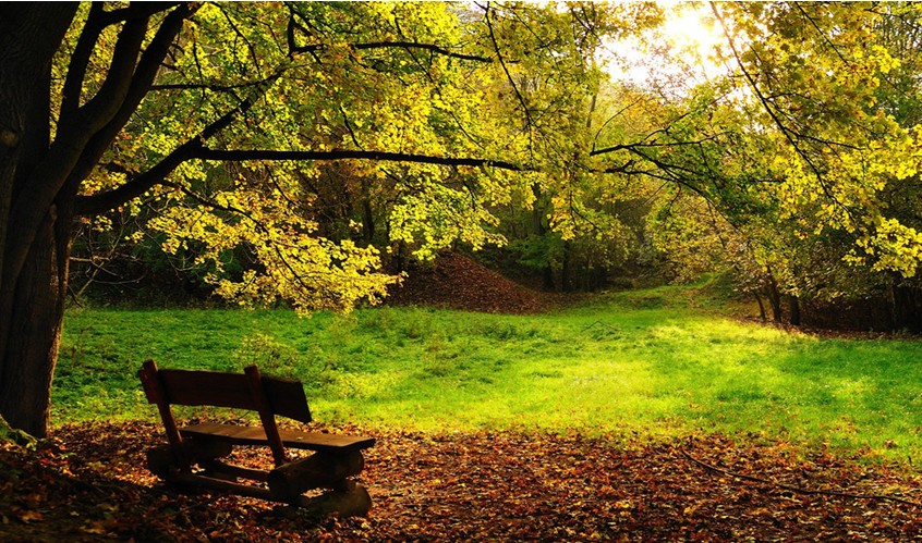 公园地产的发展历史,从它的诞生,到生活的发展