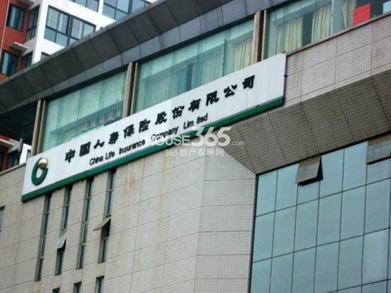 南海家缘最新动态