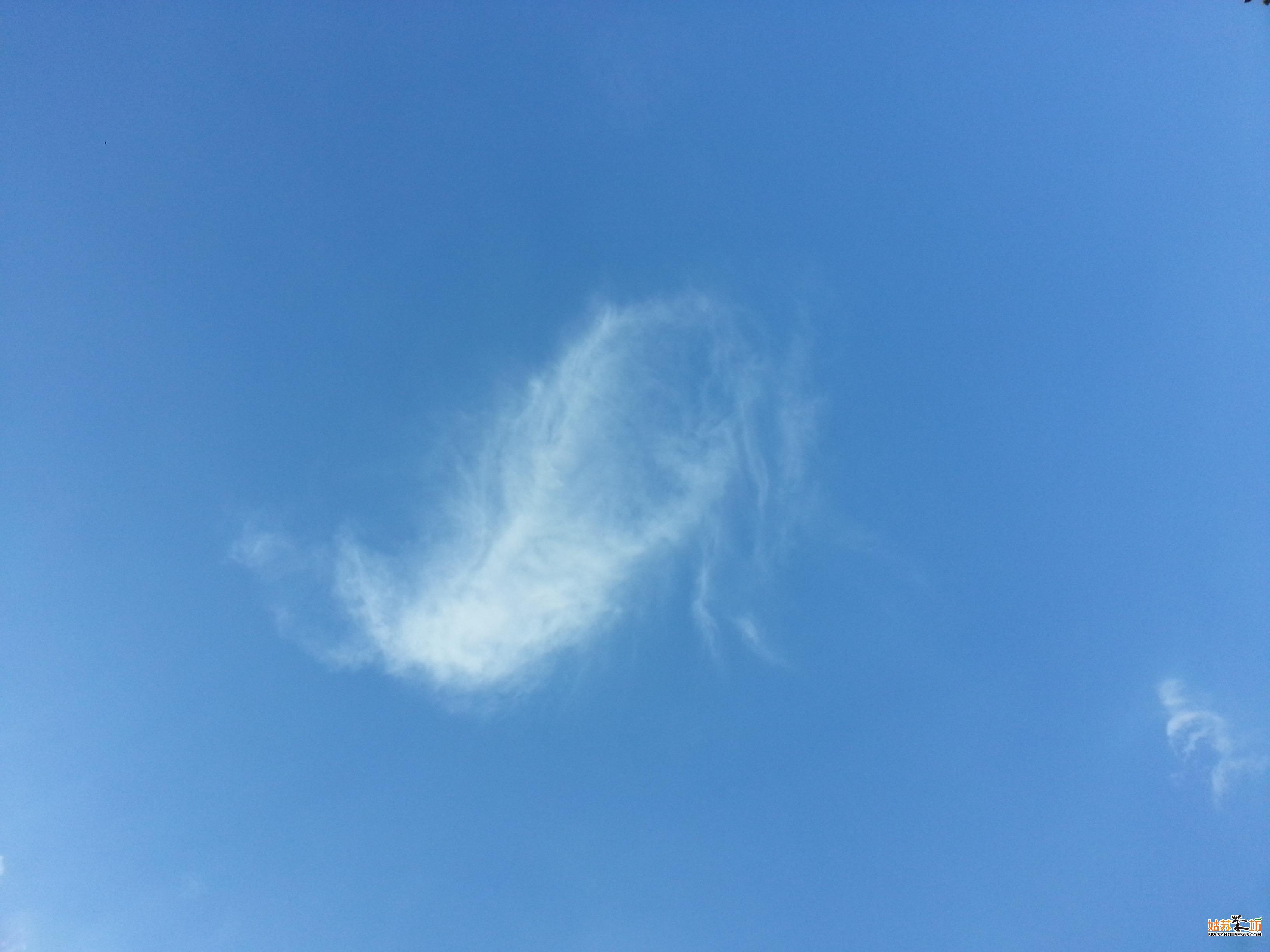 矮油,今年十一前几天天气还不错,带着自己的小侄子到长江边去耍了耍。 其实旅游也不一定要去很远的地方。只要玩的开心就好啦. 最近遇到了很多的事情,总是有不相干的人给我所谓的意见,要求我成熟,懂事,大气。 可是我真的很想说,我是不是成熟,是不是懂事,是不是大气。关你什么事情? 我甚至都不认识你,见都没见过你,我跟你的人生没有任何的交集。 我需要你对我指指点点吗? 而你对一个完全不相干的人指指点点,要求我这样,要求我那样,你觉得你成熟稳重大气吗? 为了不相干的人生气是不合算的,所以呢,出去吹吹风,晒晒太阳,让自