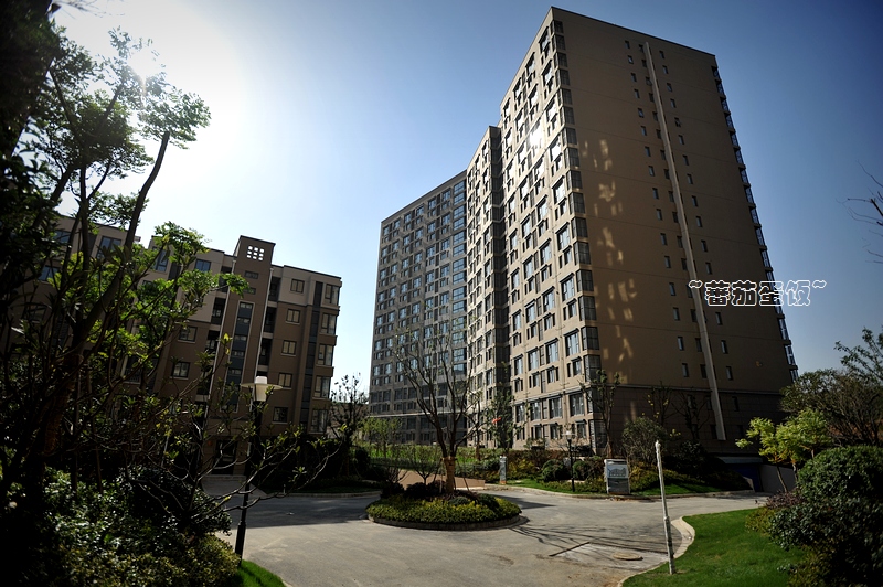 【我的看房日记】蕃茄蛋饭同学--东郊小镇八街区华丽景观片新鲜上映